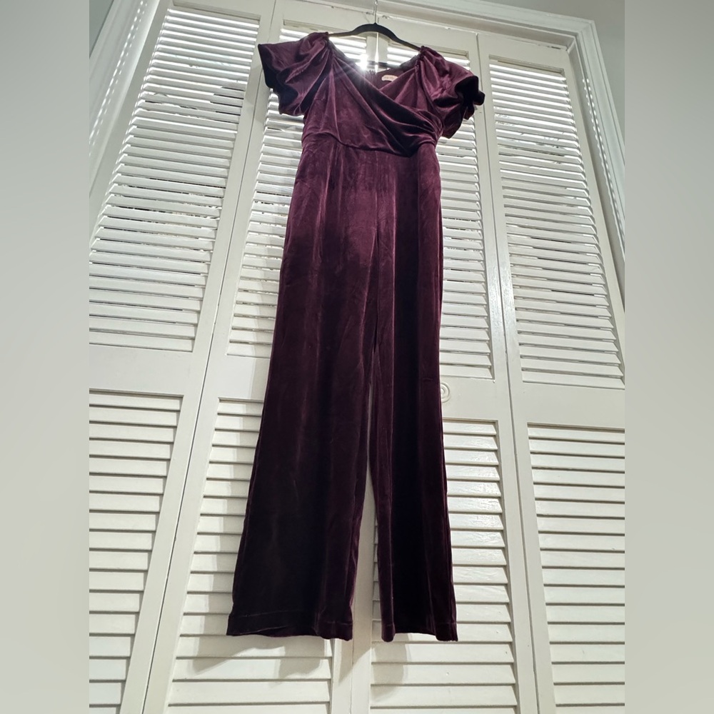 Ivy City Co Velvet Jumpsuit - Picture 3 of 9